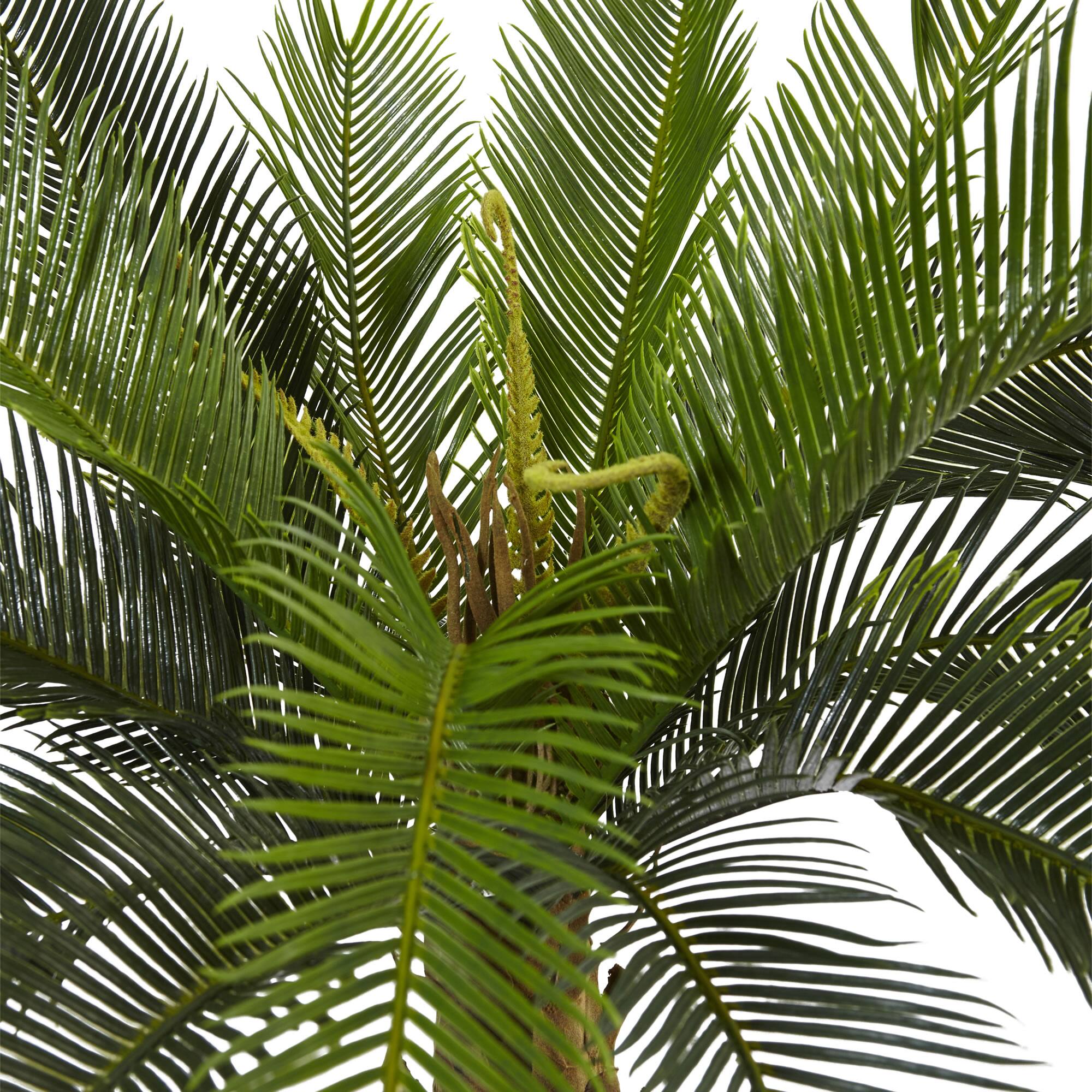 3ft. Cycas Palm Tree in Wood Planter